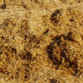 Compost