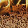 Pellet